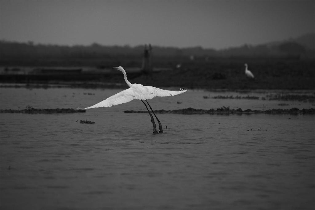 Swaraj Resorts Bharatpur Dış mekan fotoğraf